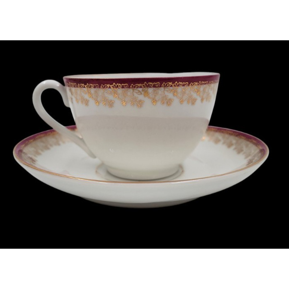 Carl Tielsch Cup & Saucer Gold Trim Altwasser Germany 1891 - 1935 Tea Coffee